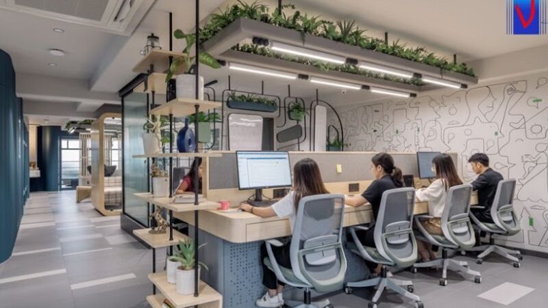 Giới thiệu văn phòng làm việc Văn VN Net tại TP. Hồ Chí Minh