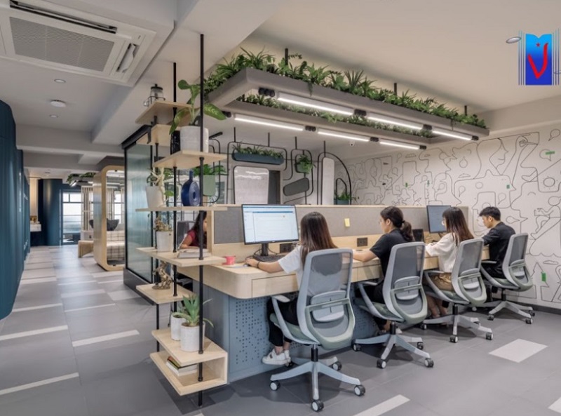 Giới thiệu văn phòng làm việc Văn VN Net tại TP. Hồ Chí Minh